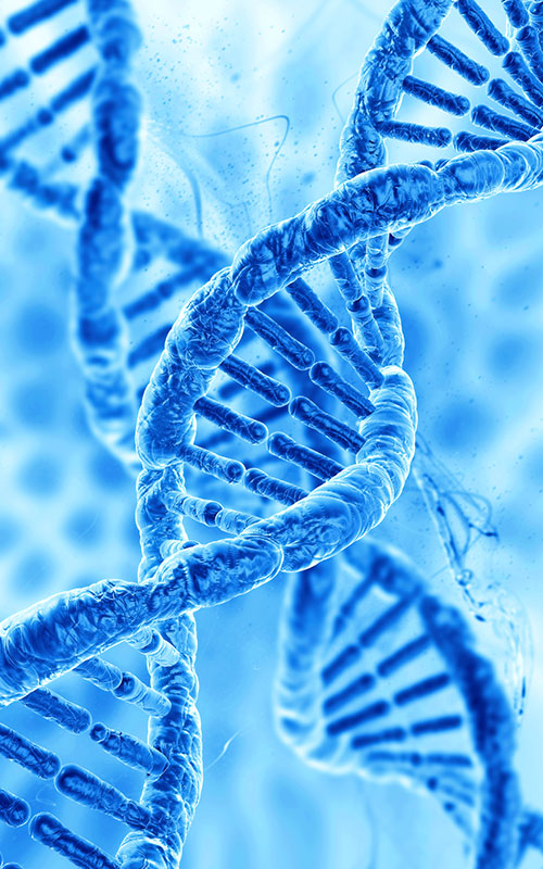 PDRN (Polideoksiribonukleotida)